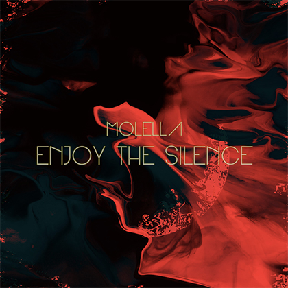 Enjoy The Silence